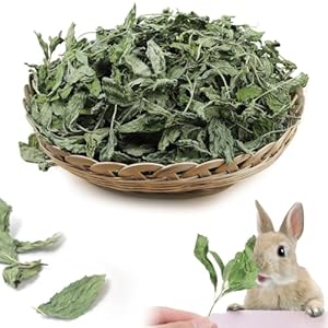 Nature Treats for Small Animals Dried Mint Leave 12 OZ – Dust Free Natural Green Fresh for Pets Rabbits, Rich in nutrients Alleviate Digestive Improve The Oral Health of Pets