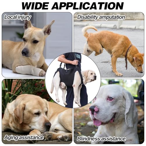 Yuragim Hunde Tragehilfe, Tragbares Hundegeschirr Treppe Verstellbare Tragehilfe Geschirr Hebegeschirr für Hinterbeine Hüftstütze mit Griffen Sicherheitsunterstützung für behinderte, verletzte Hunde