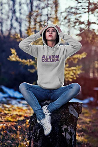CreateMyTee | Albion College Block 2 Color Text Hooded Sweatshirt | Albion Britons Student and Alumni Mens/Womens Hoodie3