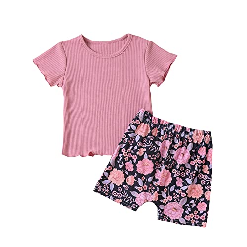 IKFIVQD 2023 Summer Toddler Girls Camiseta manga curta pulôver tops estampas florais shorts roupas (