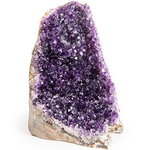 Digging Dolls Specimens: Exceptional Amethyst Geodes from Uruguay - 1 lb to 1.5 lb - B Grade - Amethyst Stone Rock Specimen for Arts, Crafts, Home DÃ©cor, Reiki and Crystal Healing
