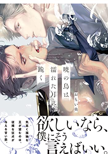 暁の鳥は濡れた月に跪