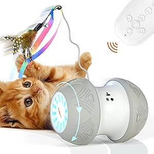 SEFON Robotic Cat Toys Interactive 1000 mAh Large Capacity Battery Operated with USB Charging AutoRC 3 Mode Timed with 4 FeathersBirdsMouse Toys for Indoor Cats All Floors Carpet Available