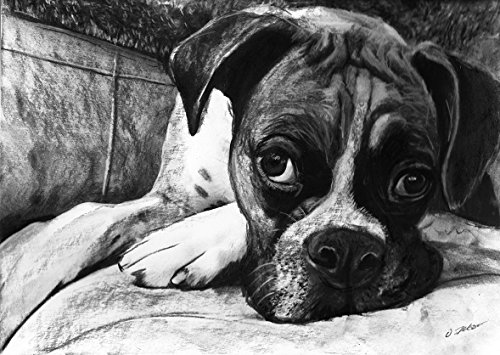Boxer Dog Art, Boxer Dog Gift, Boxer Dog Artwork, Charcoal Dog Wall Art Print, Black and White Boxer Dog Drawing Decor Hand Signed by Oscar Jetson