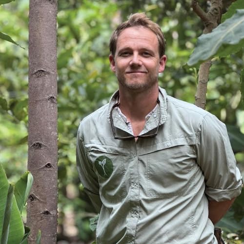 The Business Case for Syntropic Farming: 2.5 Hectares, 115k in Revenue (Forest Foods Kenya)