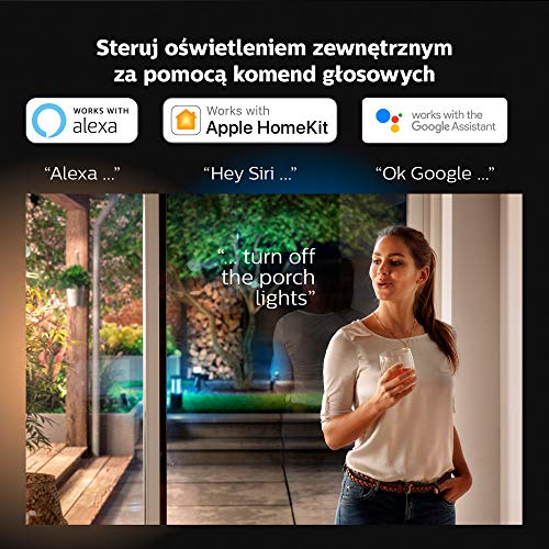 Philips-Hue-White-and-Colour-Ambiance-LED-Discover-Black-Garden-FloodLight-Compatible-with-Alexa