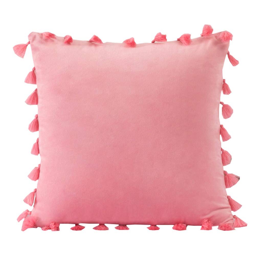 Housse de coussin en velours doux haut de gamme avec finition glands