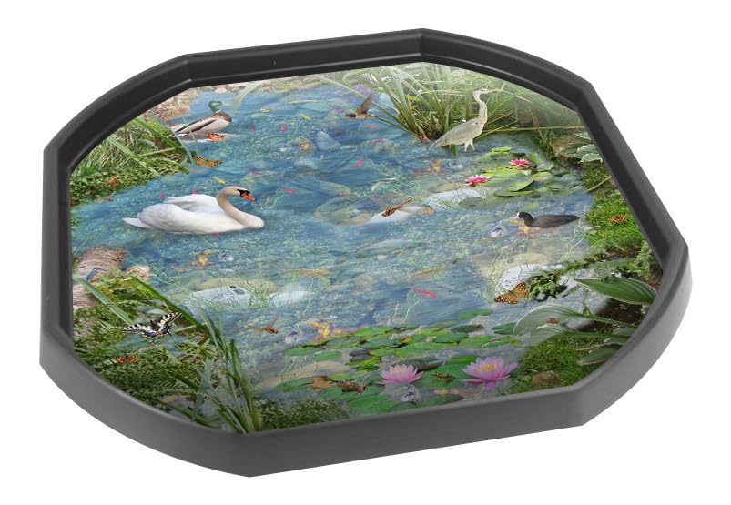 British Pond Vinyl Tuff Tray Insert - 60 x 60 cm - For Mini Tuff Spot Tuff Tray
