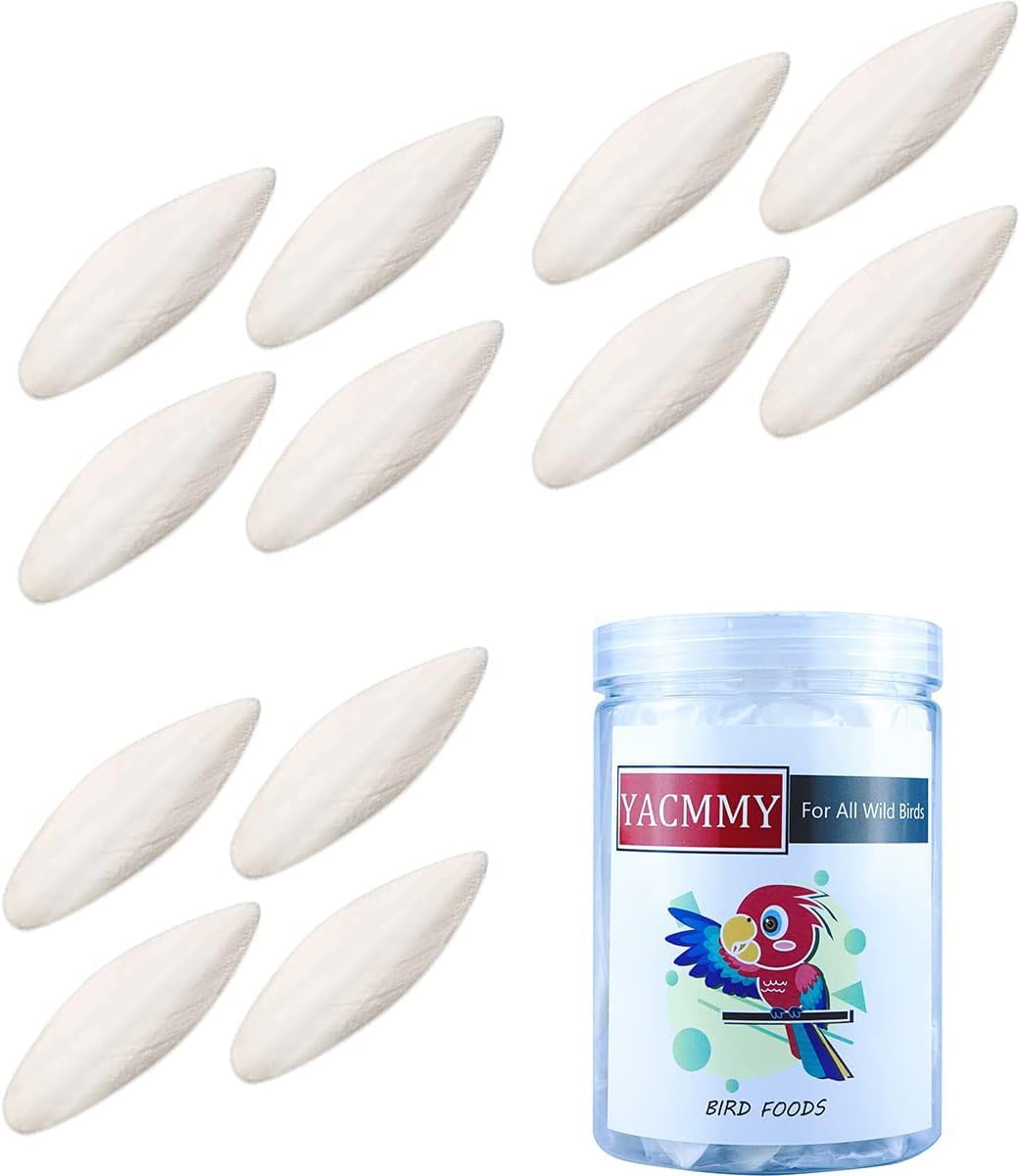 Natural Cuttlefish Bone for All Birds, Molar Calcium Fish Bone