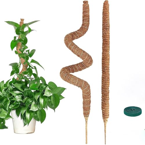 Ax | 2 RɋȂ X^[pX|[ Xe |gX wS RRXeBbN T|[g VRRRibcf 鐫 t[x K[fjO t[X^h Ԏx