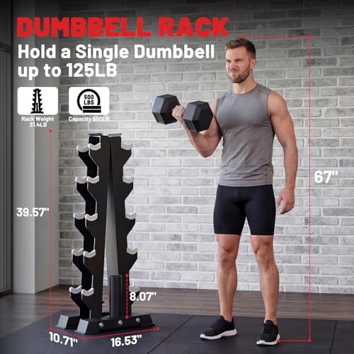 Image of A-Frame Dumbbell Stand, Dumbbell Barbell Storage & T Bar Row for Home Gym