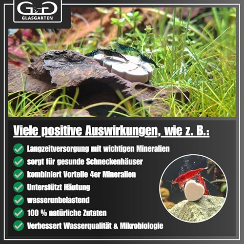 GlasGarten Mineral Mix | 16 STK. – Ergänzungsfutter/Mineralfutter für Ziergarnelen, Schnecken & Krebse, aus 100% natürlichen Zutaten mit Proteinen, Vitaminen, Eisen UVM.