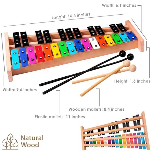 View 5