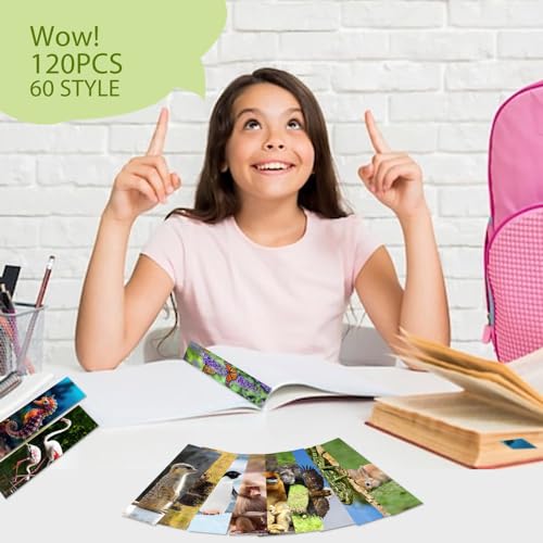 300 Animal Bookmarks for Kids - 60 Cool Wildlife Designs, Double-Sided Gifts for Students and Book Lovers