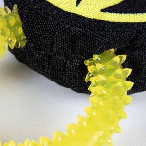 CERDÁ LIFE'S LITTLE MOMENTS - for Fan Pets Batman Hundespielzeug - Offizielle DC Comics Lizenz Mehrfarbig