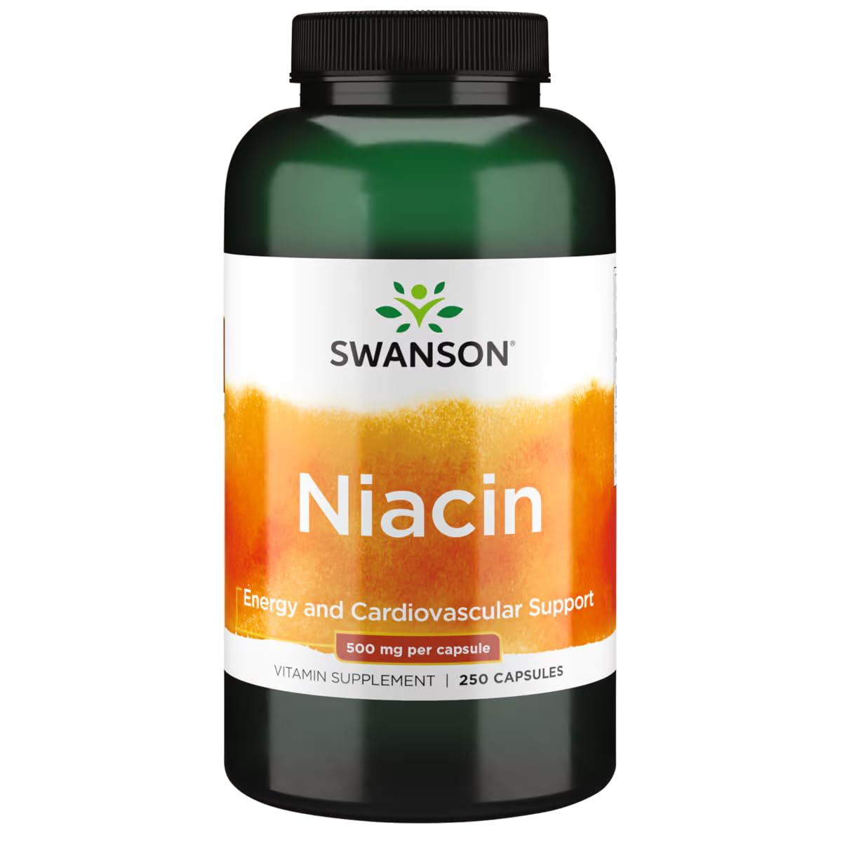 Swanson Niacin (B3) Cardio Health 500 Milligrams, 250 Capsules 250 Count (Pack of 1)