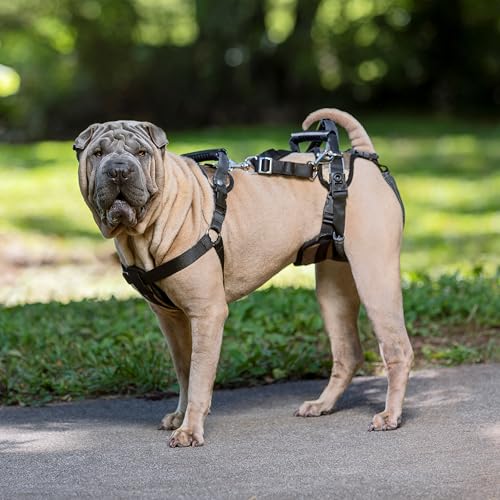 PetSafe Carelift, Unterstützungsgeschirr für Hunde, Ganzkörper-Hebehilfe mit Griff, für behinderte oder ältere Hunde, komfortabel, atmungsaktiv, einfach verstellbar, M
