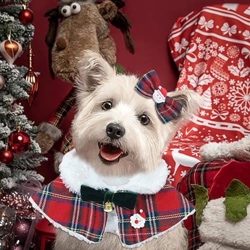 NX}X a  H~ ybgEFAL  ybgEFA hbOEGA ^pi 킢̕ jbgZ[^[ gCv[h/_bNX/}`[Y/ViEU[/V[Y[̏^ lCr[1#M