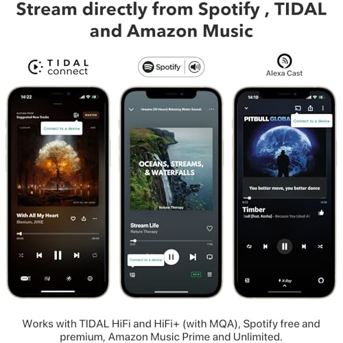 image for WiiM Mini AirPlay 2 Wireless Audio Streamer, Multiroom Stereo, Preampl