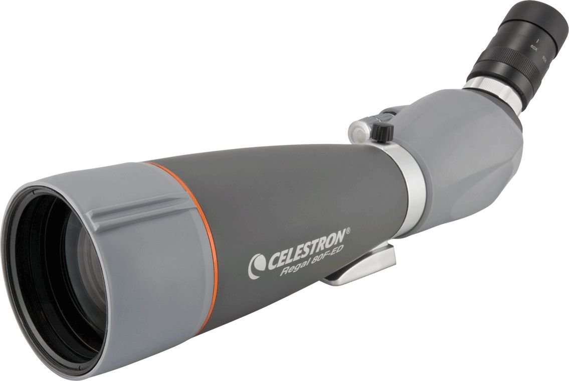 Celestron Luneta celownicza Regal 80 F-ED