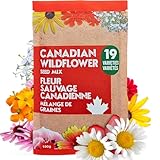 Grow Vibrant Wildflowers – Perfect for Canadian gardens, this mix includes 20 varieties of perennial and annual wildflower seeds. Designed to thrive in zones 3-10, they’re a stunning addition to any outdoor space. Pollinator Paradise – Attract bees, ...