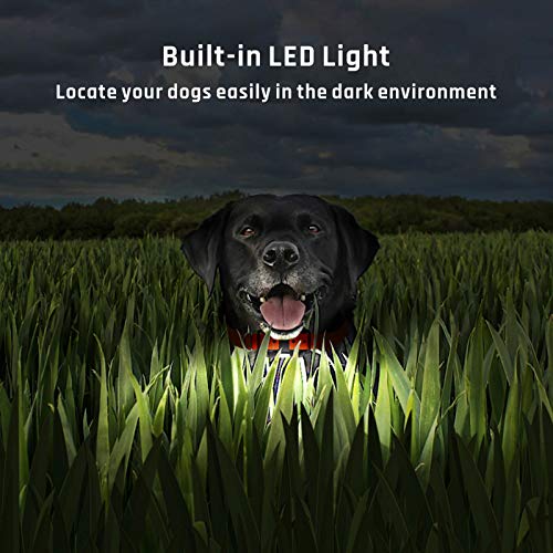 iSPECLE Dog Training Collar, Waterproof Rechargeable 2600ft Remote Dog Shock Collar with LED Light, Beep, Vibration, Shock for Medium/Large Breed 2 Electronic Collars, Neck Lanyard