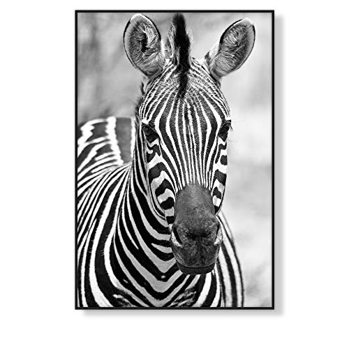 Láminas Decorativas Nórdicas de Pared para Enmarcar, Posters y Cuadros de Estilo Nórdico en Blanco y Negro sin Marco | Cebra, LD-BN-02