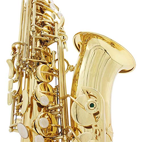 mewmewcat Bronze Eb Saxofone Alto Sax Lacado Instrumento de Sopro De Ouro de Ouro com Luvas de Estoj