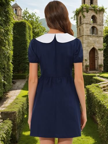Image of Allegra K Women's Contrast Peter Pan Collar Puff Short Sleeve A-line Dress