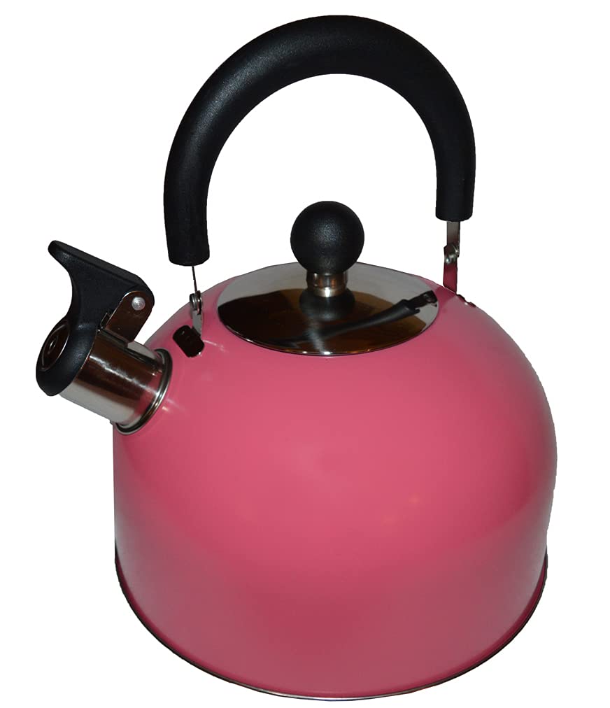 Buy 2.5L Stainless Steel Whistling Camping Kettle, Lightweight, Compact