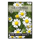 Sow Right Seeds - Roman Chamomile Seeds for Planting - Non-GMO Heirloom Packet with Instructions to Grow an Herbal Tea Garden - Indoors or Outdoor - Low Growing with Small Daisy-Like Blooms (1)
