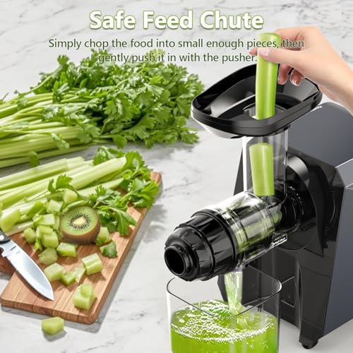 Image of Masticating Fruit Vegetable Juicer Machine, 2-In-1 Electric Juicer Grinder 18 Adjustable Settings for Coffee Bean Nut, 250W Quiet Juicing Machine Cold Press Extractor BPA Free Easy To Clean & Assemble