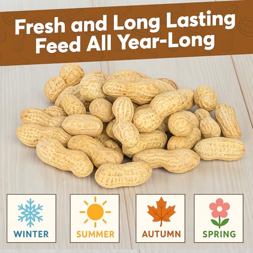 2 Pack of 5 Lb Bags (10 Pounds Total) - Raw Peanuts for Squirrels, Raw in Shell Peanuts for Birds and Wildlife- Squirrel Food, Wild Bird Seed - Grown in The USA