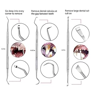   Teeth-Cleaning-Kit-Dog-Plaque-Tartar-Remover-Tools-Pet-Dental-Tooth-Scaler-and-Scraper-Silicone-Finger-Toothbrush-for-Puppy-Cats-Tooth-Pick-Stone-Remover-Dogs-Oral-Care-Hygiene-Cleaning-Tools-12Pcs