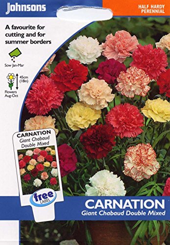 Johnsons seeds - Pictorial Pack - Fiore - Garofano...