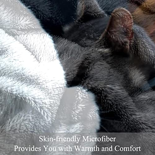 Couverture en peluche microfibre douce motif chats finitions de qualité