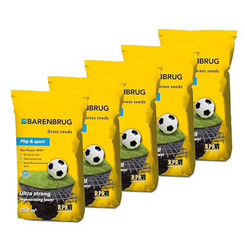 Rasensamen Barenbrug RPR Play & Sport 25 kg - Great in Grass - Grassamen Sportrasen Spielrasen