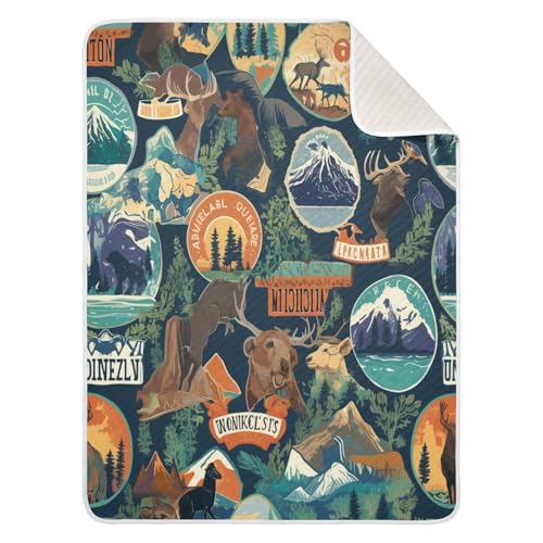 Image of Baby Swaddle Blanket for Boys Girls Soft Warm Stroller Throw Blanket for Newborn Infant Toddler 30X40in Camping National Park Colorful Labels Emblems (2)