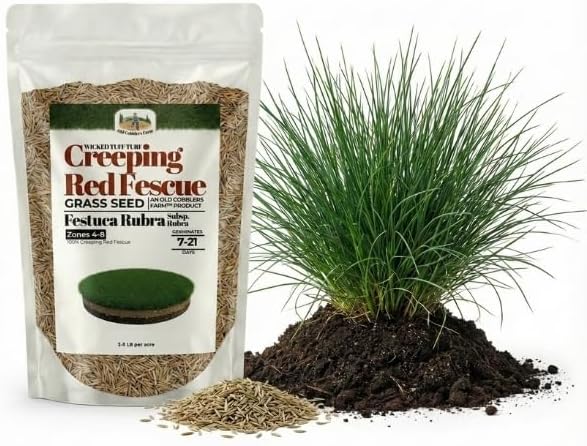 Old Cobblers Farm™ Wicked Tuff Turf Creeping Red Fescue (Grasses) - Fine-Textured Grass Seed for Cool Season Lawns, Parks & Landscapes (5 lbs | 10 lbs | 15 lbs | 20 lbs) (20lbs)