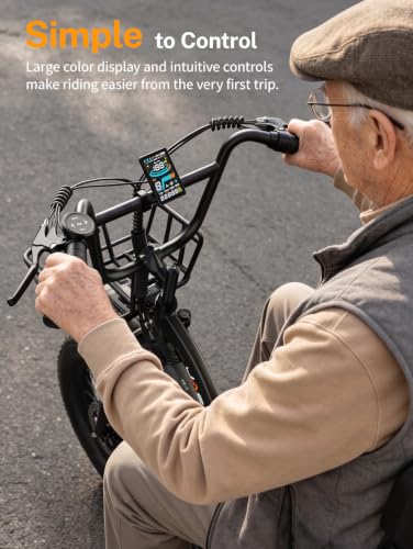 Jasion Electric Tricycle for Adults