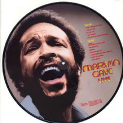 Live: Marvin Gaye