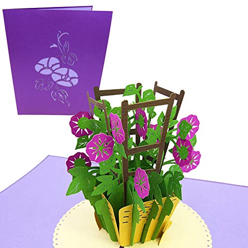 PopLife Purple Morning Glory 3D Pop Up Mother's Day Card - Flower Anniversary, Happy Birthday, Thank You, Valentine's Day - for Mom, Daughter, Sister, Wife, Grandma, Step-mom