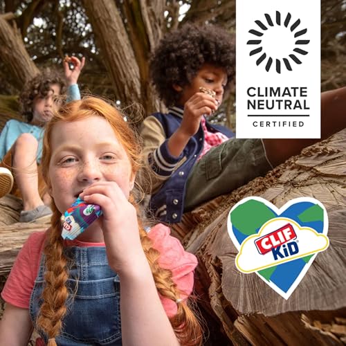 Clif Kid Zbar 3580223031 Chocolate Chip - Soft Baked Whole Grain Snack Bars thumb #4