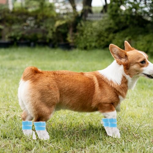Bottes pour chien imperméables jetables grand chien blanches x40