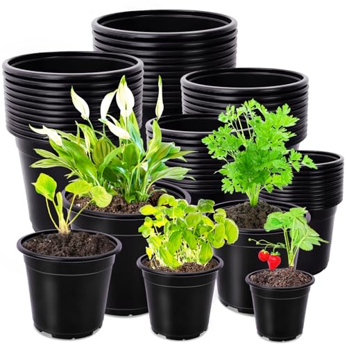 Pynqdfu 60 Pcs Plant Nursery Pots,Black Plastic Pots with Drainage Holes,Garden Flower Container Seedling Pot for Planting,Cuttings,Transplanting,Home Garden(5 Sizes)
