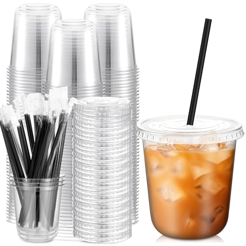 Reusable Clear Plastic Cups with Lids and Straws 100 Set Washable Iced Coffee PET Cups for Cold Beverage Juice Parfait Smoothie Milkshake Home Coffee Shops Party Supplies 12oz