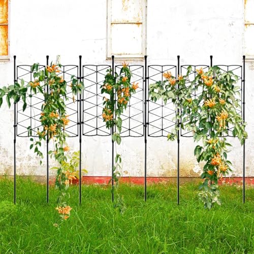 Suministros de jardinería para tutorado de huerto vertical en guisantes y Clemátides 4