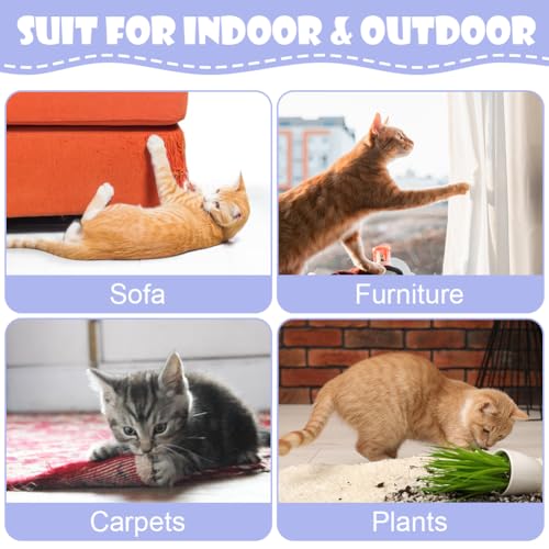 Aomig Cat Calming Spray, Cat Comfort Calming Spray Anxiety Relief Pheromone Spray for Cats, Spray for Cats Cat Calming Collar, Pets Calm Emotions Prevent Stress Reduce Pet Noise Spray(60ml) - Image 4