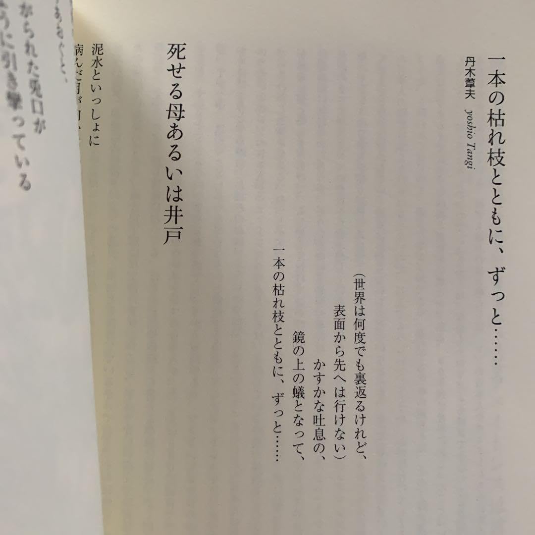 Amazon.co.jp: あんちりおん 超品 花輪和一サイン落款入り