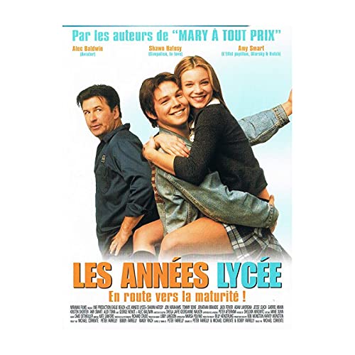 Les Années lycée [Francia] [DVD] Amazon.es Shawn Hatosy, Tommy Bone
